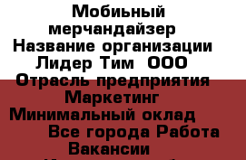 Мобиьный мерчандайзер › Название организации ­ Лидер Тим, ООО › Отрасль предприятия ­ Маркетинг › Минимальный оклад ­ 23 000 - Все города Работа » Вакансии   . Ивановская обл.